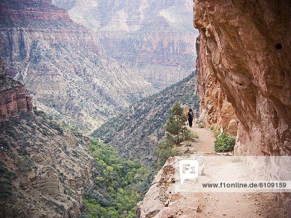 North Kaibab Trail  Grand Canyon National Park  Arizona