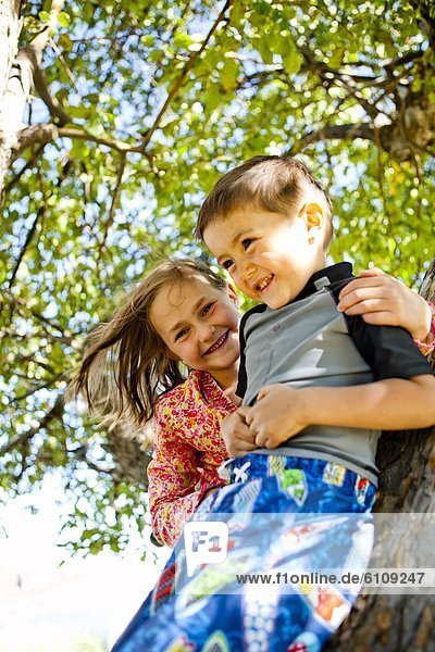 A boy and a girl climb a tree in Garden City  Utah.