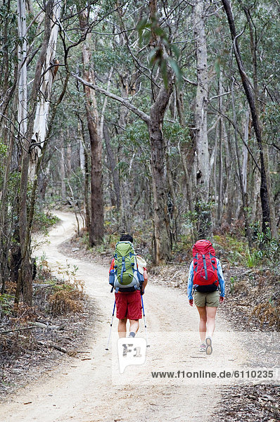 Hikers with backpacks walk along trail.