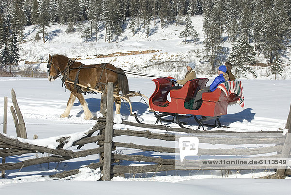 Three people riding sleigh.