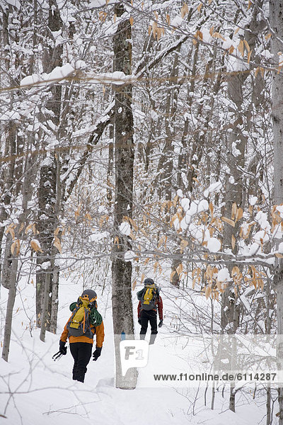 Men mountaineering  New Hampshire.