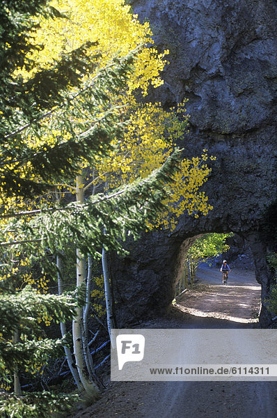 A young woman pedals her mountain bike through a rock tunnel surrounded by golden aspen leaves in the San Francisco Peaks near F