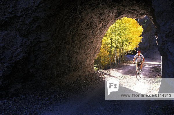 A young man pedals his mountain bike past golden aspen leaves and into a rock tunnel while mountain biking in the San Francisco
