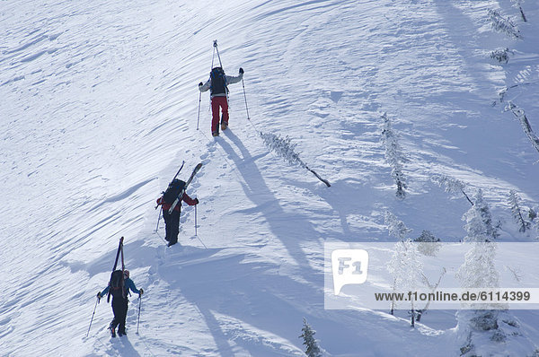 Backcountry ski traverse in Glacier National Park  MT.