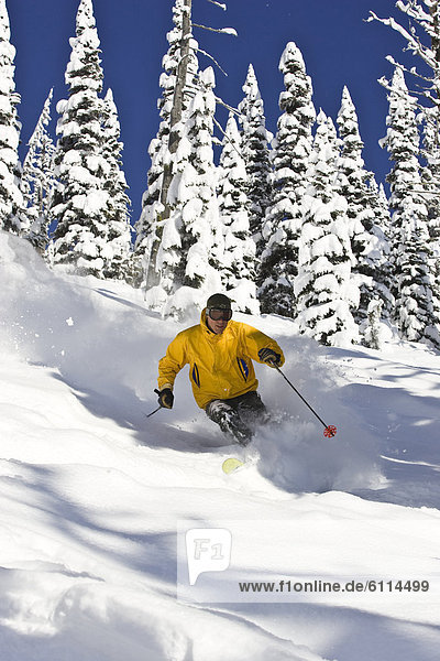 Mann  Ski  Frische  Berg  Urlaub  Gesichtspuder  Fernie  British Columbia  British Columbia  Kanada  tief