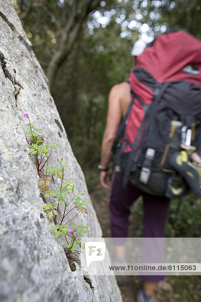 Woman hiker  Surtana valley  Sardinia  Italy