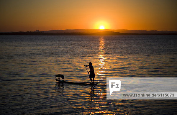 Surfer and dog on stand up paddle board  Australia