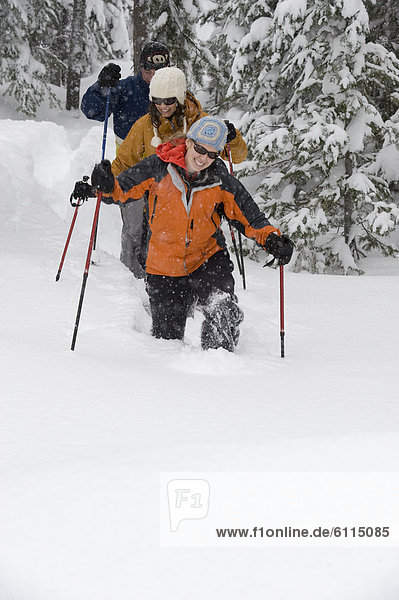 Laubwald  Biegung  Biegungen  Kurve  Kurven  gewölbt  Bogen  gebogen  Mensch  Menschen  frontal  Gesichtspuder  Ansicht  3  tief  Oregon  Schneeschuhlaufen