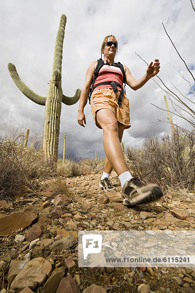 nahe  Frau  Wüste  wandern  Arizona  Sonoran Desert  Tucson