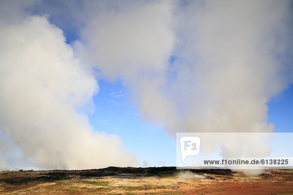 Dampfgeysire im Hochtemperaturgebiet Gunnuhver auf der Halbinsel Reykjanes  Island