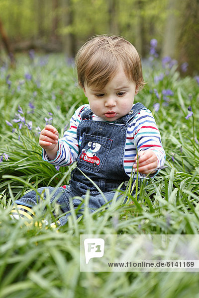 Boy playing with flowers in meadow