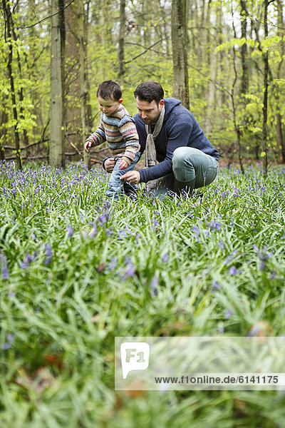 Father and son picking flowers in forest