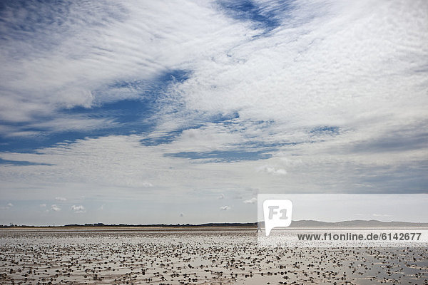Mud flats under sky with clouds  Sylt  Germany