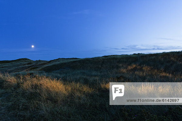 Blick über Dünenlandschaft bei Mondschein nahe Rantum  Sylt  Deutschland