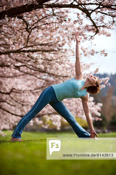 Frau in Dreiecks-Yogastellung bei Kirschbaum