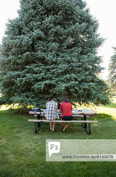 Teenager-Paar studiert am Picknicktisch im Park  Rückansicht