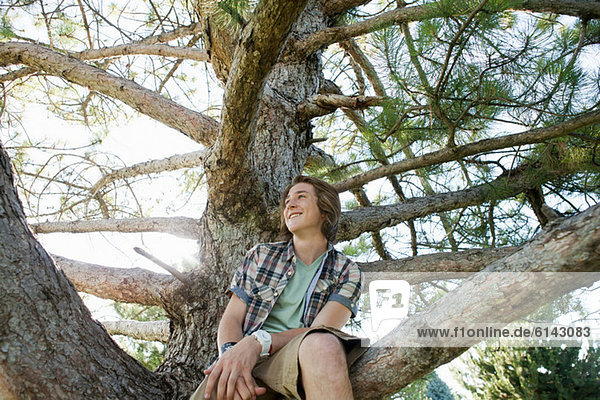Teenage boy sitting in tree  portrait