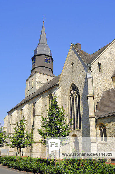 Propsteikirche St. Stephanus  Beckum  Münsterland  Nordrhein-Westfalen  Deutschland  Europa  ÖffentlicherGrund