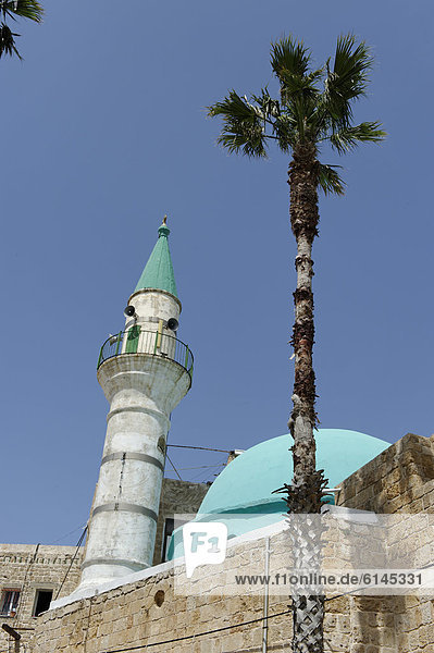 Al Zaytuna Moschee in der Altstadt  Akko  Akkon  Acco  Acre  Unesco Weltkulturerbe  Israel  Naher Osten