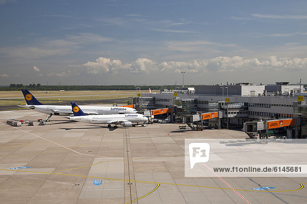 Flugzeuge der Lufthansa auf dem Flughafenfeld  Airbus A320-200 und Airbus A340-300  Flughafen  Düsseldorf  Rheinland  Nordrhein-Westfalen  Deutschland  Europa