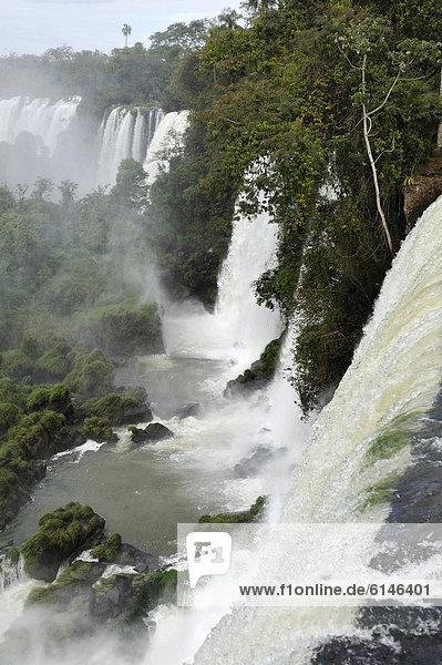 Wasserfälle von Iguazu oder Iguacu  UNESCO Welterbe  an der Grenze zwischen Brasilien und Argentinien  Landschaft auf der argentinischen Seite  Südamerika