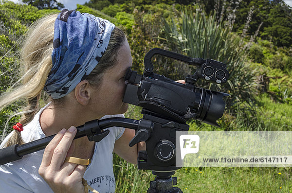 Young woman looking through the viewfinder of a HD-video camera on a tripod  New Zealand  Oceania