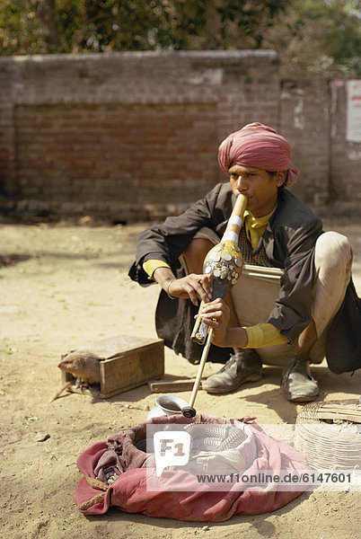 Snake charmer  Delhi  India  Asia