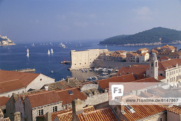 Roofs of Old City  UNESCO World Heritage Site  and the Island of Lokrum  Dubrovnik  Croatia  Europe