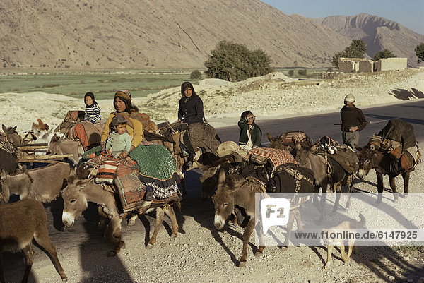 Migration von der Quaschgai Stamm  Iran  Naher Osten