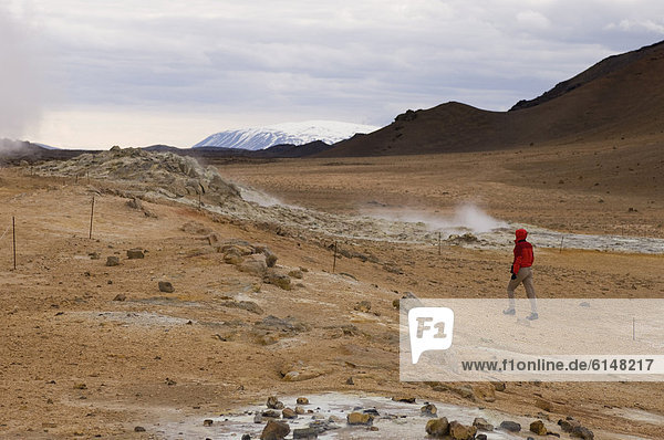 Hverir geothermal fields at the foot of Namafjall mountain  Myvatn lake area  Iceland  Polar Regions