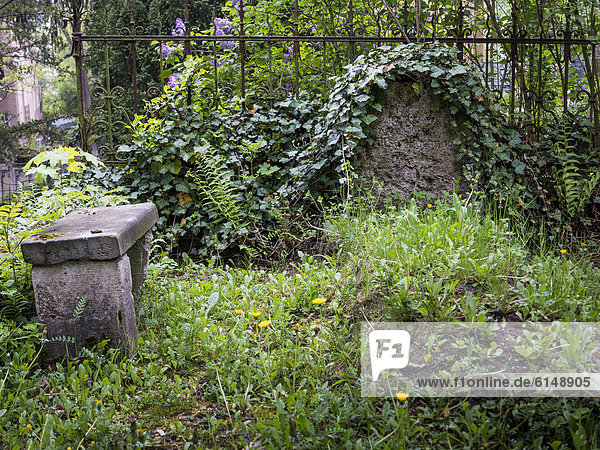 Alte Grabtafel  Historischer Friedhof  Weimar  Thüringen  Deutschland  Europa