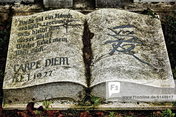 'Steinernes Buch ''carpe diem''  Historischer Friedhof  Weimar  Thüringen  Deutschland  Europa'