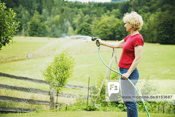 Frau wassernapf Pflanzen mit Schlauch