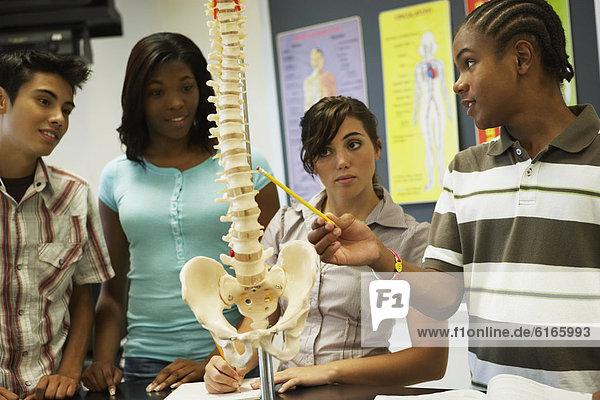 Multi-ethnic teenaged students looking at spine model