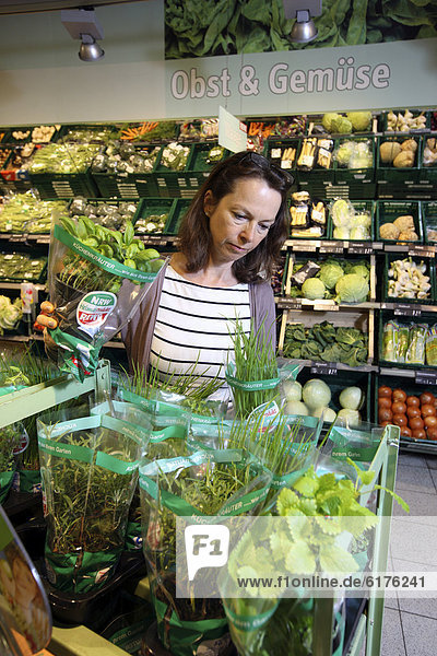 Frau kauft in der Obst- und Gemüseabteilung ein  frische Kräuter im Topf  Selbstbedienung  Lebensmittelabteilung  Supermarkt  Deutschland  Europa