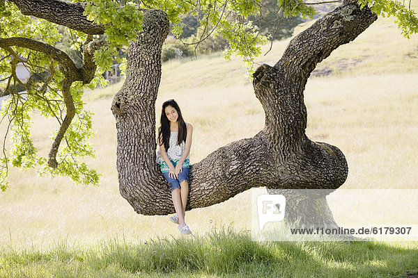 sitzend  Baum  Hispanier  Mädchen