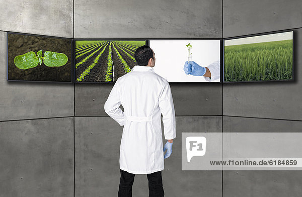 sehen Wissenschaftler Hispanier Fernsehen Bildschirm