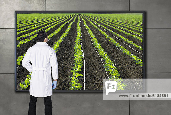 Fotografie  sehen  Wissenschaftler  Hispanier  Landwirtschaft  Fernsehen  sichtschutz