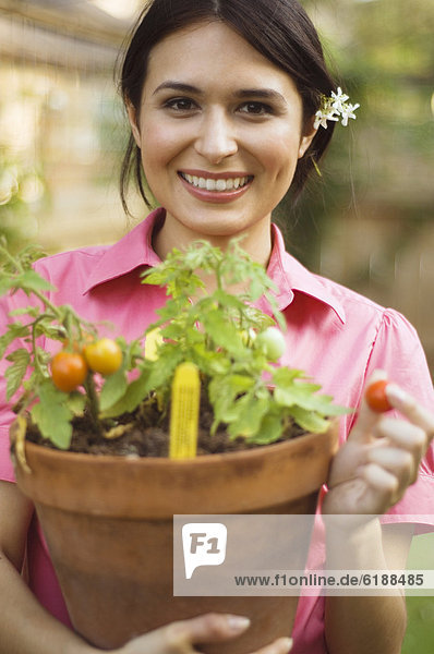 Hispanic woman holding potted tomato plant