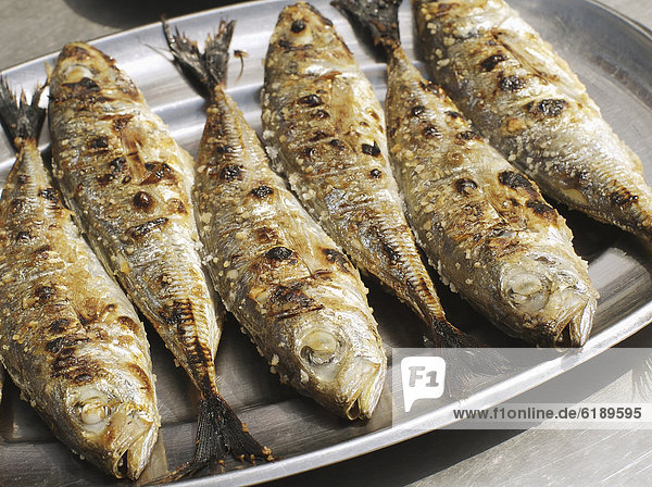 Close up of grilled Portuguese sardines