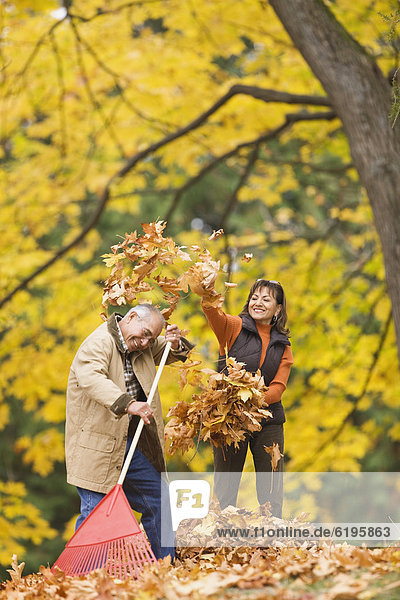 Hispanic couple playing with autumn leaves