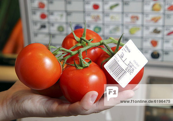 Self-service scales  customer weighing tomatoes  food hall  supermarket  Germany  Europe
