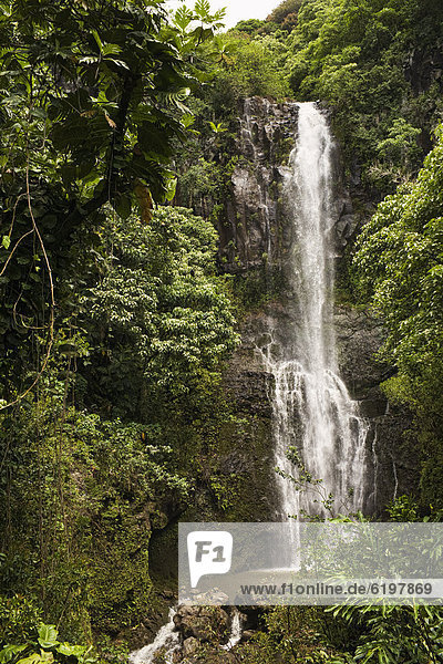 Tropisch  Tropen  subtropisch  Wasserfall  Regenwald