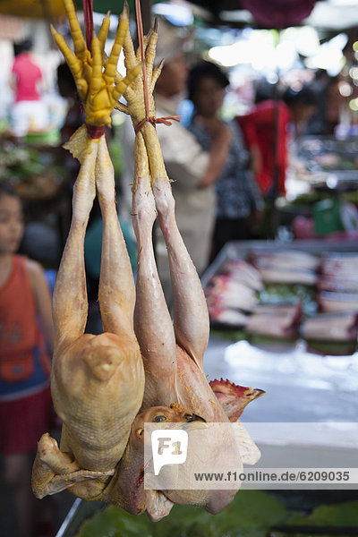 Raw chickens hanging in market