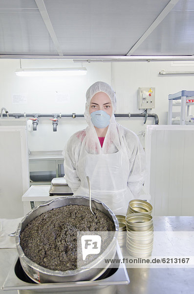 arbeiten Hispanier füllen füllt füllend Kaviar