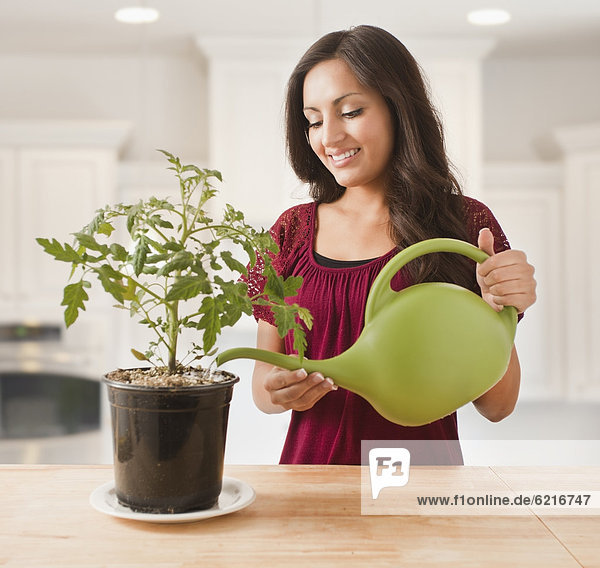 Mixed race woman watering plant