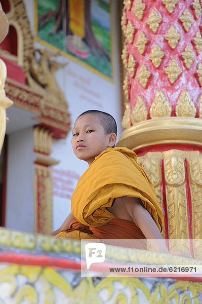 Young Buddhist monk at a temple in Vang Vieng  Laos  Southeast Asia