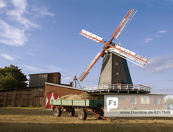 Working windmill  Bardowick  Lueneburg Heath  Lower Saxony  Germany  Europe