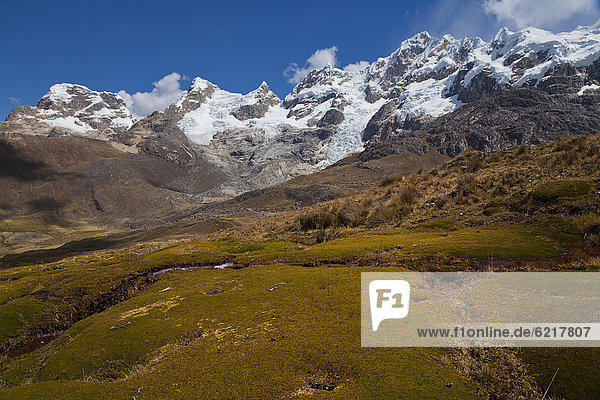 Moss landscape  Cordillera Huayhuash  mountain range  Andes  Peru  South America