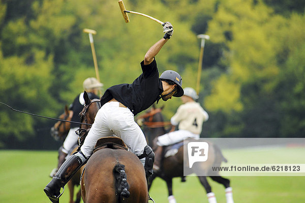 Ein Polo-Spieler im Schlag  Ebreichsdorf  Niederösterreich  Österreich  Europa
